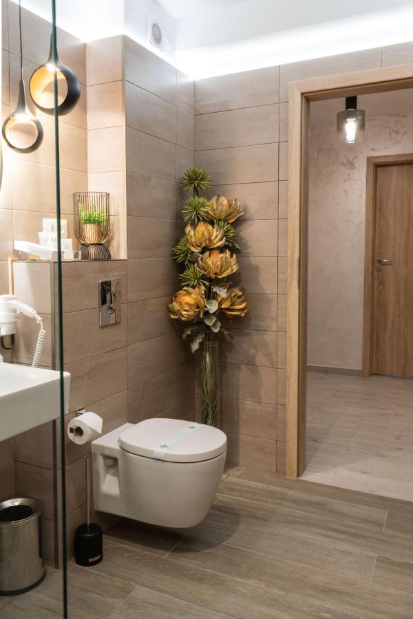 Apartment Alios Lux Braşov Extérieur photo