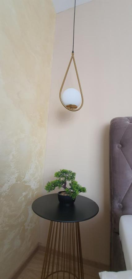 Apartment Alios Lux Braşov Extérieur photo